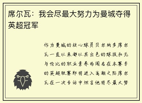 席尔瓦：我会尽最大努力为曼城夺得英超冠军